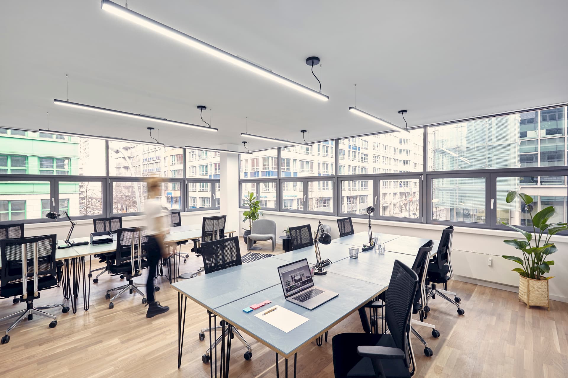 Helles Teambüro mit freundlichen Pflanzen.